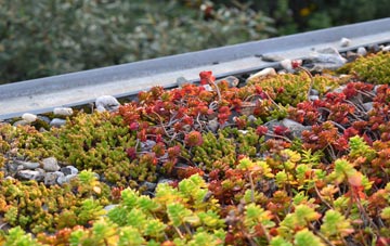 the cost of Sion Mills green roof installation