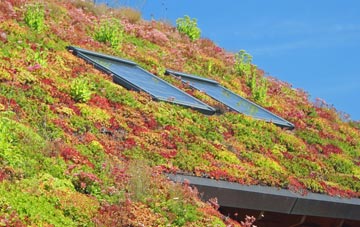 Sion Mills living roof systems