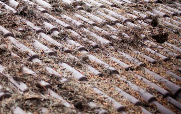 Sion Mills roof cleaning companies