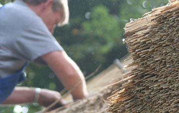 professional Sion Mills thatchers