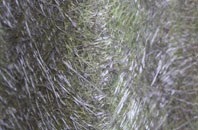 Sion Mills fibreglass roof work